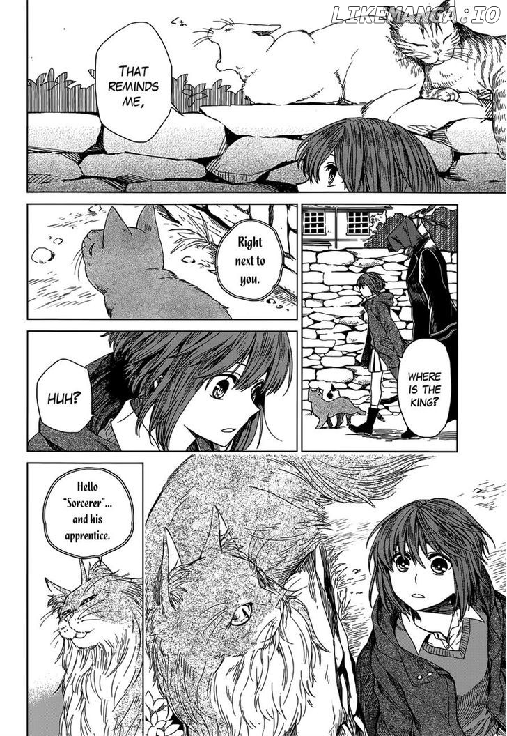 The Ancient Magus Bride, Chapter 4 image 12